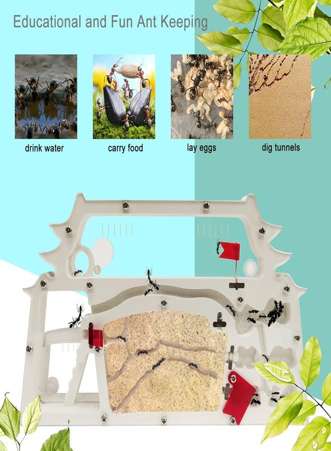 EXBEPE Ant Farm Castle,Ant Colony Habitat Observation Tool Kits,Bug Terrarium House,Nature Learning Toys, Education Science Kit - Image 2